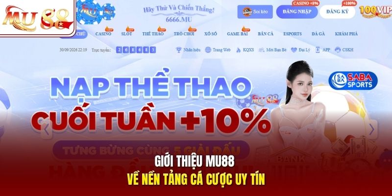 Giới thiệu mu88 về nền tảng cá cược uy tín