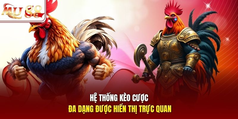 Hệ thống kèo cược đa dạng được hiển thị trực quan
