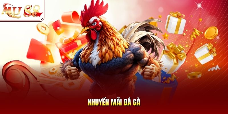 Khuyến mãi đá gà