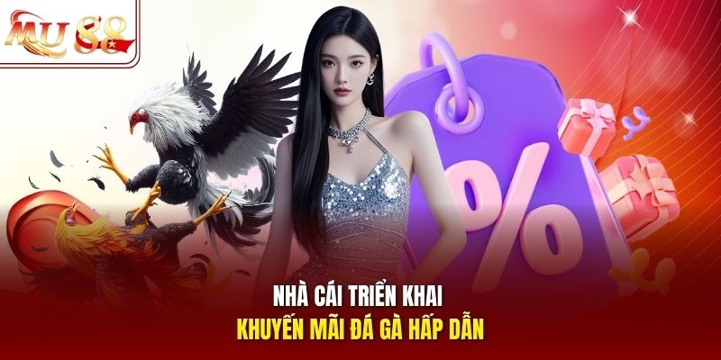 Nhà cái triển khai khuyến mãi đá gà hấp dẫn